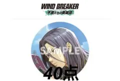 WIND BREAKER ウィンブレ ウィンヒロ 杉下京太郎 缶バッジ　杉下