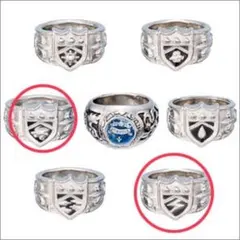 家庭教師ヒットマンリボーン　ボンゴレリング　嵐、雷