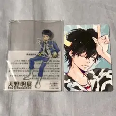 まとめ売り セット 天野明展 家庭教師ヒットマンリボーン ランボ