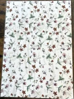 Item thumbnail for item d6a68ae2-1576-4bb0-8618-61648afbeb8c