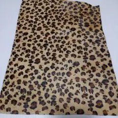 Item thumbnail for item 4cfc15a3-72db-4300-90ea-29a6f3bbb84f