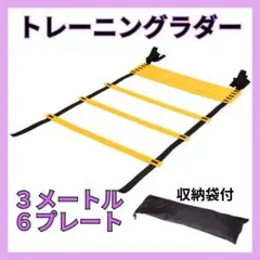トレーニング ラダー 収納袋付 3ｍ サッカー フットサル バスケ 陸上