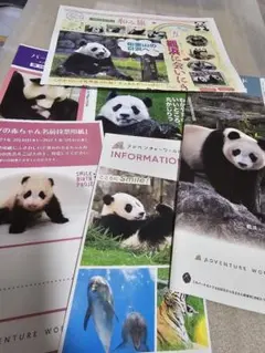 今だけ最安値！アドベンチャーワールド　ペンダント　　楓浜 ◇アドベンチャーワールド◇パンダペンダント⭐︎楓浜