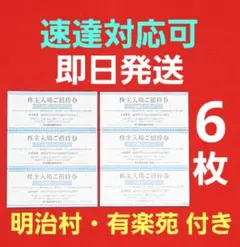 메이테츠 리틀 월드 몽키 파크 미나미치타 비치 랜드 주주 할인권 6장 K ⑥