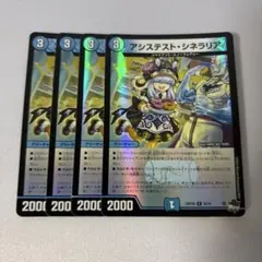 アシステストシネラリア　ホイル　4枚