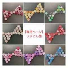 【専用ページ】じゅごん様