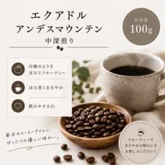 自家焙煎　コーヒー豆　エクアドル　中深煎り　100g　豆or粉のサムネイル