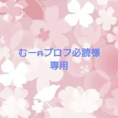 むーฅプロフ必読様専用