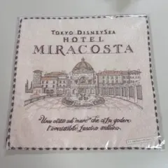 Disney MIRACOSTA Hotel タオルのサムネイル