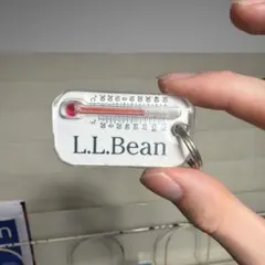 Item thumbnail for item de74baae-1d7a-4078-88c4-a0c691cae98e