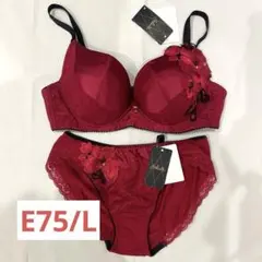 2025年最新】サルート の人気アイテム - メルカリ