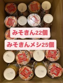新品　未使用　未開封　みそきん　ラーメン　メシ　ケース　箱 みそきん メシ 箱未開封 5ケース 30個 2025年最新】みそきん