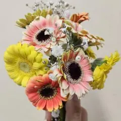 ミニガーベラ ピッコリーナミックス 25センチ位 10本(切り花 生花 バラ)2