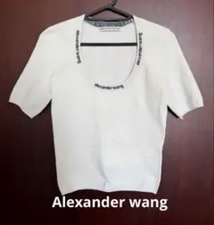 未使用　alexanderwang ロゴジャカード ショートスリーブ Tシャツのサムネイル