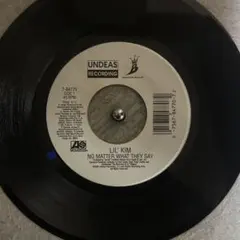 Item thumbnail for item 60c8cb78-9bc3-426b-a691-142ff5cefdfd