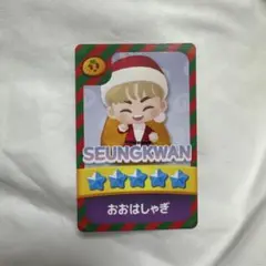 スングァン　パズチ SEVENTEEN トレカ セブチ NEW JAPAN