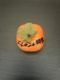 エレガント桐生 サイン 柿