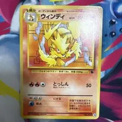PSA9 旧裏 ウィンディ イントロパック ゼニガメデッキ ポケモンカード 