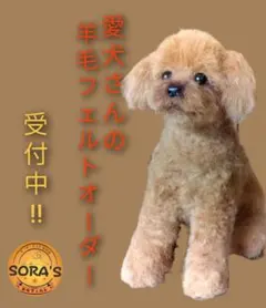 愛犬さんの羊毛オーダー・受注制作・わんちゃん