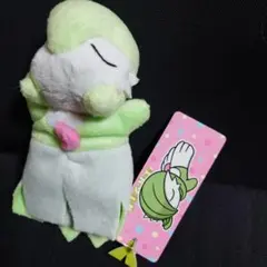 ポケモン　ポケセン　くったりぬいぐるみ まとめ売り　希少　レア　ぬいぐるみ 激レア！希少！Pokemon ポケモン ぬいぐるみ マスコット まとめ