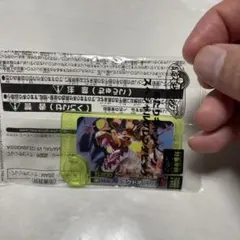 ポケモンカードゲーム ラフトボーン