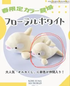 神戸須磨シーワールド 2周年記念 オルカくじ ぬいぐるみ - メルカリ