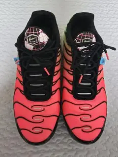 ナイキ エアマックス プラス ワールドワイド　 29.0cm