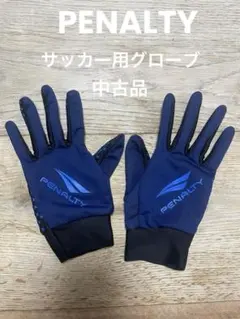 Item thumbnail for item 4e5dda60-cd00-4e06-833b-ba0ec445b4cb