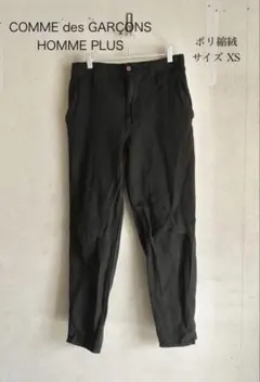 2026年最新】 COMME des garcons homme plus 縮絨の人気アイテム