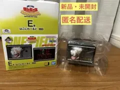 一番くじ ワンピース MONKEY.D.LUFFY E賞 はこにわーるど　1種