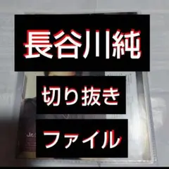 【最終値下げ】【貴重】 長谷川純 切り抜きファイル 1冊 雑誌23冊分 27枚