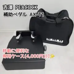 2025年最新】ピアノ補助ペダル ax-t1の人気アイテム - メルカリ