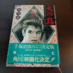 【帯付き】妖精の宝箱 二見書房 サラブックス 帯付き】妖精の宝箱 二見書房 サラブックス - メルカリ