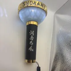 Item thumbnail for item 55b94d51-77e2-418e-bf9f-f29caaa9cd1f