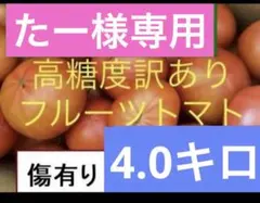 たー様専用　高糖度訳ありフルーツトマト4kg