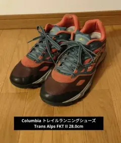 Item thumbnail for item d39d04a8-927a-4f10-b0dc-a65d593e55e2