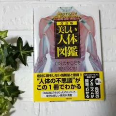 美しい人体図鑑 多彩なイラストで初心者にもわかりやすい 自分のからだを知り尽く…