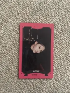 SEVENTEEN ホシ　シーグリ　2023