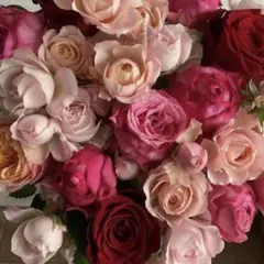 Riko様 リクエスト 2点 まとめ商品