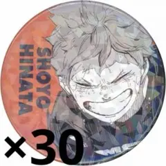 2026年最新】日向翔陽 缶バッジ オールスターの人気アイテム - メルカリ