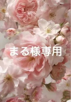 まる様専用❣️わんちゃんのお洋服6着