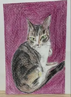 猫の絵◇猫◇新品 美品【水性絵具/パステル/色鉛筆】◇防水&丁寧梱包