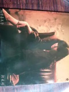 Item thumbnail for item 8772c65d-ef1d-4321-abc9-9693fa93c930