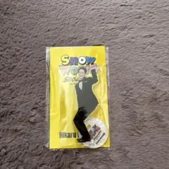 【新品未開封】 岩本照 Snow World アクスタ