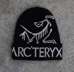 ［即日発送］Y2Kグランジ スケーター　ビーニー