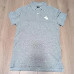 【新品】Abercrombie & Fitch グレー ポロシャツ メンズS