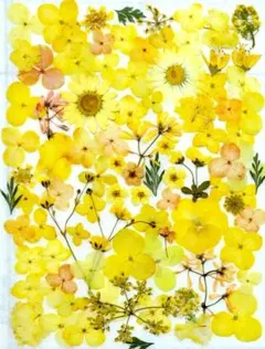 Item thumbnail for item b589c46e-4aa0-4a25-92bd-4f2f44802b0e