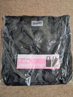 櫻坂46くじ ラスト賞 2WAYデイパック ローソン - メルカリ
