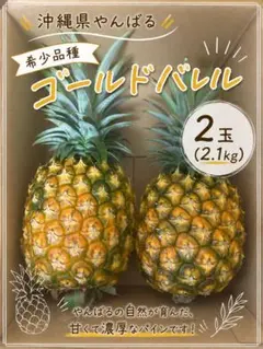 沖縄県やんばる産 希少品種 ゴールドバレル パイナップル 2玉のサムネイル