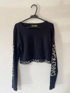 未使用✨レディース(服)✩ANZU/トップス/長袖 ショート丈 カットソー 2